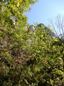 image120